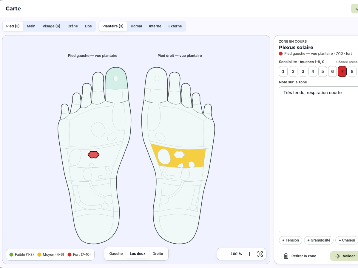 Consultation sur la carte réflexe des pieds dans ReflexoDesk